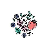 A set of hand drawn berries with leaves and drops on a white background. Blueberries, raspberries, strawberry hand drawn icons. Naive drawings composition. vector