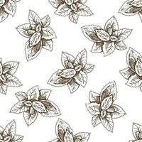 Hand-drawn vector seamless pattern of mint leaves. Vintage doodle illustration. Sketch for cafe menus and labels. The engraved image.