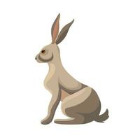 Wild leous, bunny profile. Hare, rabbit, forest animal with long ears. Jackrabbit character sitting, side view. cute mammal. Vector illustration