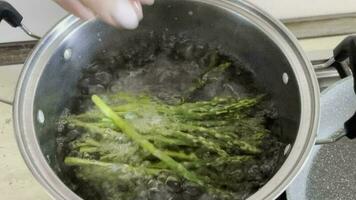das Prozess von Kochen frisch Grün Zweige von köstlich gesund knusprig Spargel mit Salz- und Gewürze wie Teil von ein Vegetarier Gericht video