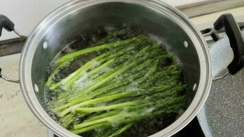 el proceso de Cocinando Fresco verde ramitas de delicioso sano crujiente espárragos con sal y especias como parte de un vegetariano plato video