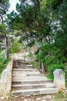 Beautiful paths of the Gradac Park in Dubrovnik photo