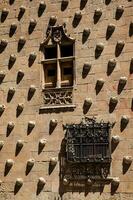 detalle de el ventanas de el histórico casa de el conchas construido en 1517 por rodrigo arias Delaware maldonado Caballero de el orden de santiago Delaware compostela en salamanca, España foto