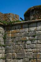 Historical Fort of Sao Francisco do Queijo built on the 6th century at Porto city in Portugal photo