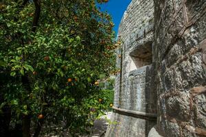 Dubrovnik paredes a un hermosa primavera día foto