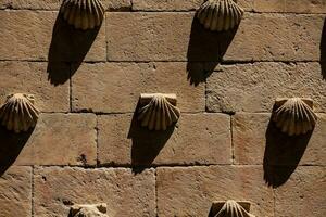 detalle de el histórico casa de el conchas construido en 1517 por rodrigo arias Delaware maldonado Caballero de el orden de santiago Delaware compostela en salamanca, España foto