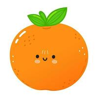 Tangerine fruit character. Vector hand drawn cartoon kawaii character illustration icon. Isolated on white background. Tangerine fruit character concept