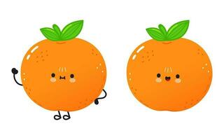 Tangerine fruit character. Vector hand drawn cartoon kawaii character illustration icon. Isolated on white background. Tangerine fruit character concept