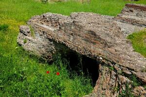 Detail of the ruins at the Domus Augustana on Palatine Hill in Rome photo