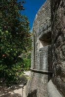 Dubrovnik paredes a un hermosa primavera día foto