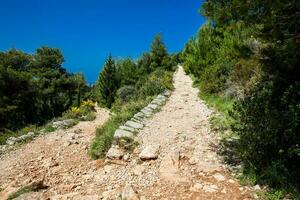 Mount Srd walking trail in a beautiful early spring day photo