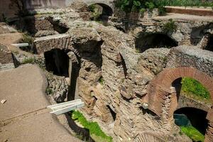 Ruins of the Palace of Septimius Severus or Domus Severiana on the Palatine Hill photo