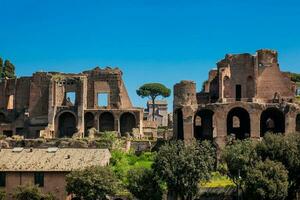 Temple of Apollo Palatinus on Palatine Hill of ancient Rome and Circus Maximus photo