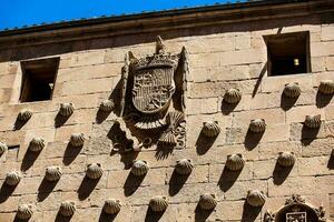 detalle de decoraciones en el fachada de el histórico casa de el conchas construido en 1517 por rodrigo arias Delaware maldonado Caballero de el orden de santiago Delaware compostela en salamanca, España foto