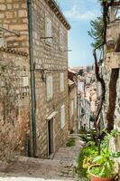 el hermosa escarpado paseos a el amurallado antiguo pueblo de Dubrovnik foto