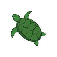 Cute cartoon turtle isolated on white background. Children vector illustration in doodle style