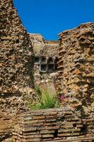 Ruins of the Palace of Septimius Severus or Domus Severiana on the Palatine Hill photo