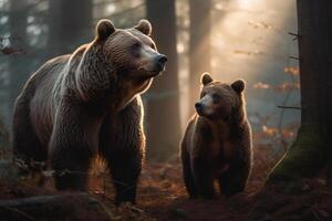 Brown bear and cub in the forest. Wildlife scene from nature photo