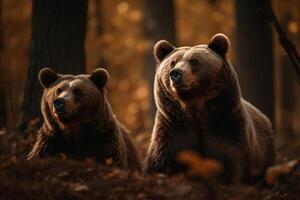 Brown bear and cub in the forest. Wildlife scene from nature photo