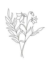Hand drawn wild field flora, flowers, leaves, herbs, plants, branches. Minimal floral botanical line art. vector