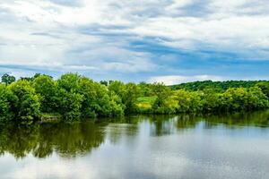 Beautiful grass swamp reed growing on shore reservoir in countryside photo