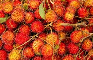 Background of rambutans photo