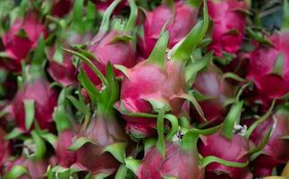 A bunch of Dragon Fruit photo