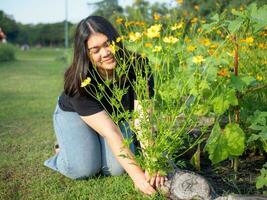 retrato de jardinero joven mujer asiático gordito linda hermosa uno persona mirando mano participación cuidando para plantas hojas jardín parque belleza flores noche luz de sol Fresco sonriente contento relajarse verano día foto