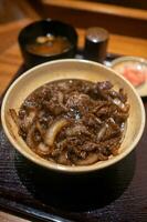 gyudon, un japonés carne de vaca en arroz cuenco foto