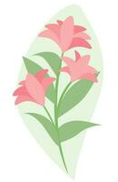 Summer picture orchid spring bouquet of flowers Vector EPS10