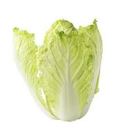 One whole chinese cabbage on a white background photo