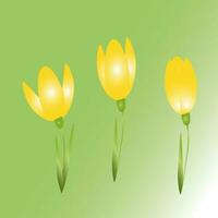 Summer picture yellow tulips spring flowers bouquet Vector EPS10