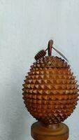Natural brown durian Wood homemade photo