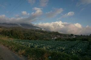 naturaleza de Indonesia foto