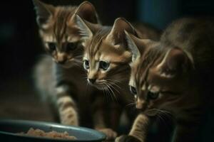 Kittens eat feeder food. Generate Ai photo