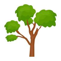 Flat tree icon vector