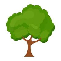 Flat tree icon vector