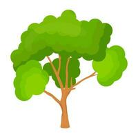 Flat tree icon vector