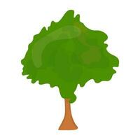 Flat tree icon vector