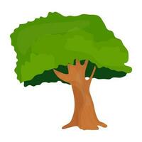 Flat tree icon vector