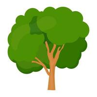 Flat tree icon vector