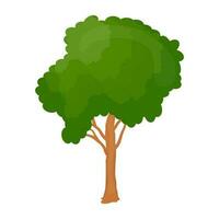 icono de árbol plano vector