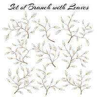 Set of silhouette branches with leaves. hand drawn of branch and leaf. Set of branches with leaves. hand drawn leaves. hand drawn leaf. vector