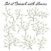 Set of silhouette branches with leaves. hand drawn of branch and leaf. Set of branches with leaves. hand drawn leaves. hand drawn leaf. vector