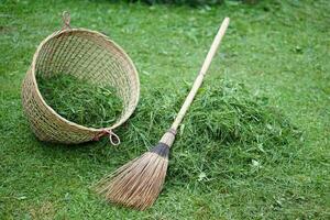 Basket of grass and broom at the yard. Concept, get rid of grass around house and community for safety from harzadouse insects or poison animals. Fresh grass can feed cows. photo