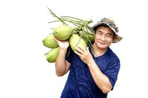 Asian man carry organic coconut fruits on shoulder, isolated on white background. Concept , Agriculture crop in Thailand.Thai farmers grow coconuts  to sell. Summer fruits. photo