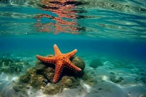 Starfish sea. Generate Ai photo