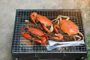 Grilling sea crabs and food tongs on mini charcoal barbecue stove . Concept, outdoor seafood cooking. Picnic, eating outdoor. photo