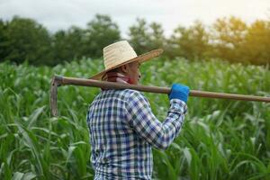 Asian man farmer is at agriculture land, wears hat, blue plaid shirt, holds a hoe on shoulder. Concept organic farming. No chemical. Using traditional manual tool in stead of use herbicide. photo