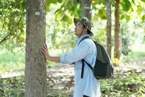 Asian man botanist is inspect trunk of tree in forest. Concept , Survey and research botanical plants. Forest conservation. Environment field research. photo